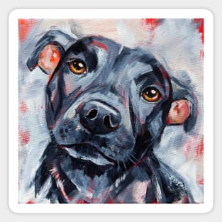 Sam, Portrait of a Staffy Dog Sticker